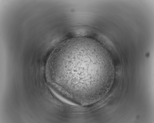 X0000092030369200709131624