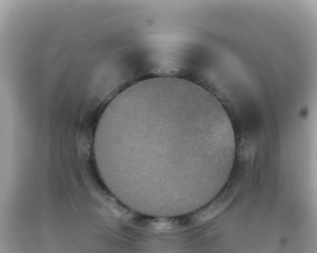 X0000092030370200709131624