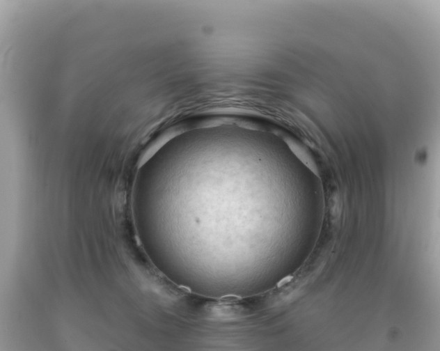 X0000092030372200709131624