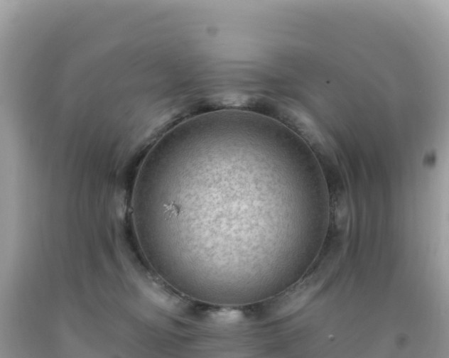 X0000092030374200709131624