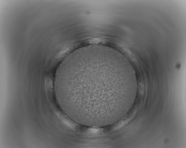 X0000092030375200709131624