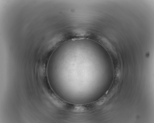 X0000092030376200709131624