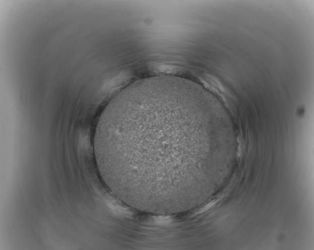 X0000092030377200709131624