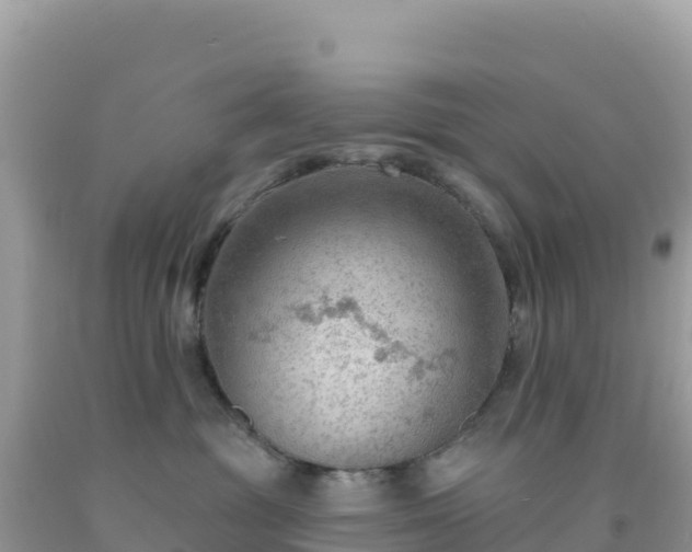 X0000092030381200709131624