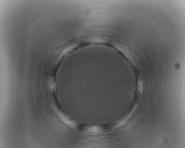 X0000092030383200709131624