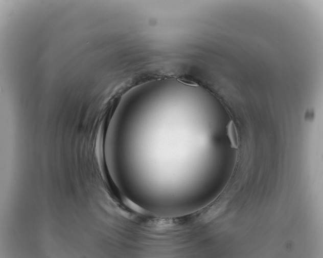 X0000092030384200709131624