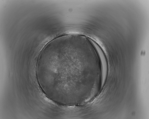 X0000092030385200709131624