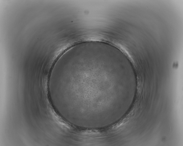 X0000092030386200709131624