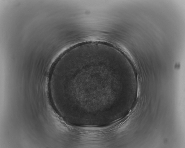 X0000092030387200709131624