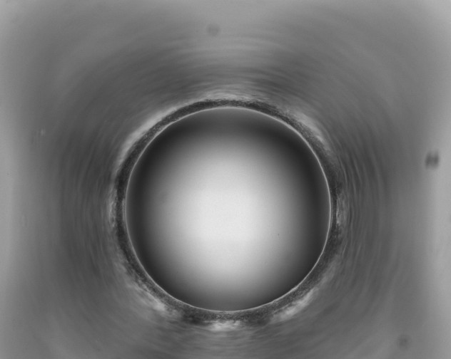 X0000092030388200709131624