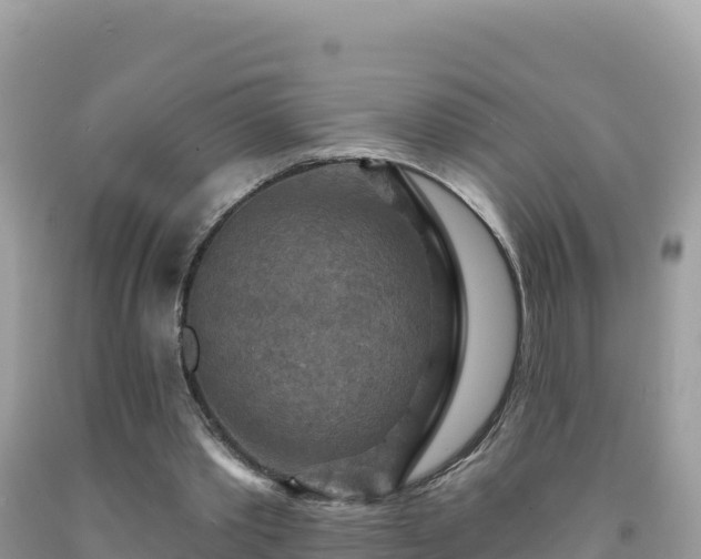 X0000092030389200709131624