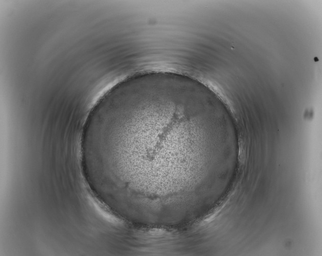 X0000092030390200709131624