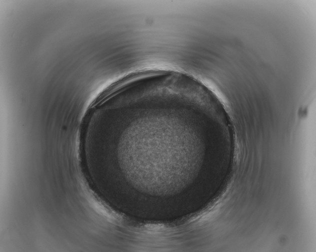 X0000092030391200709131624