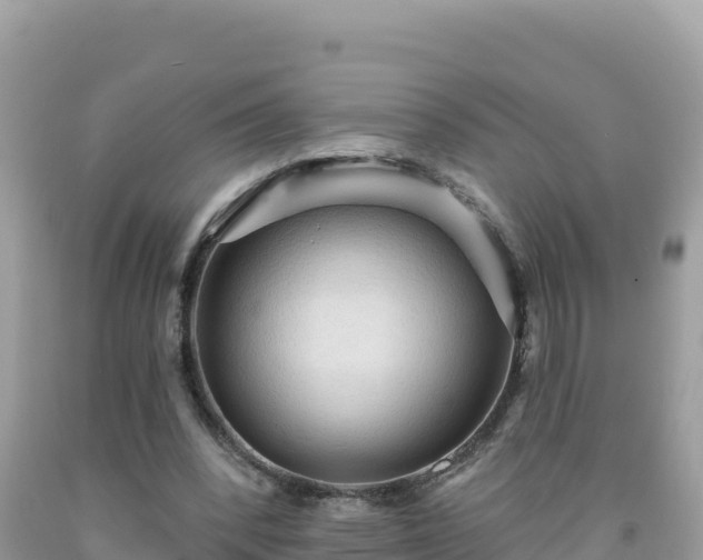 X0000092030392200709131624