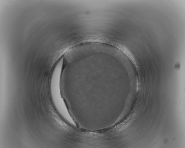 X0000092030393200709131624