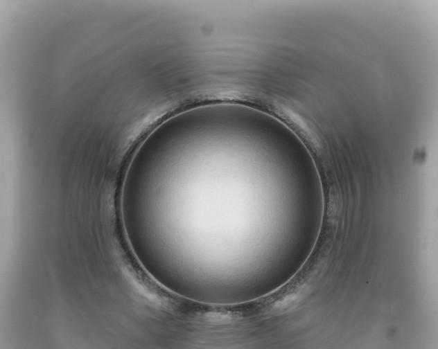 X0000092030394200709131624