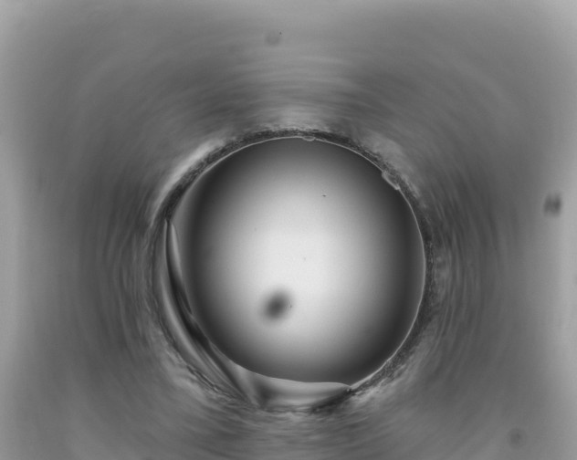 X0000092030395200709131624