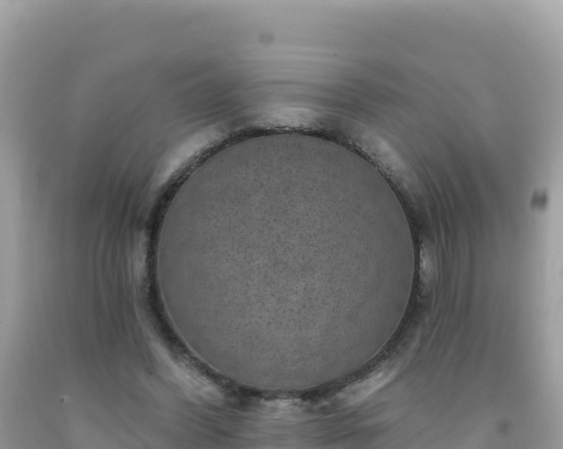 X0000092030396200709131623