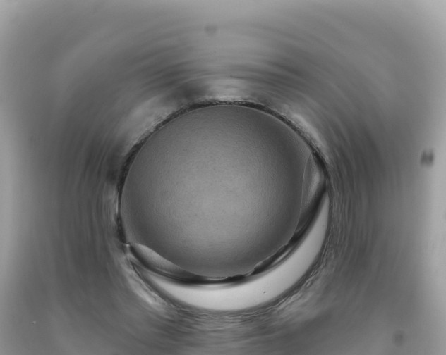 X0000092030397200709131623