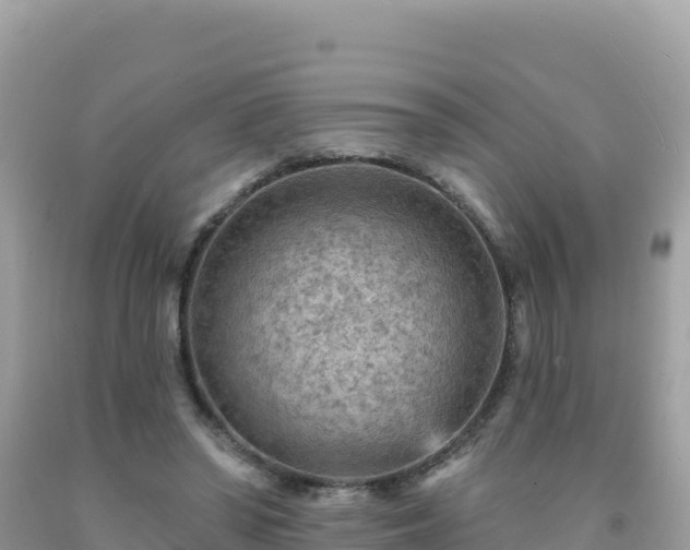 X0000092030398200709131623