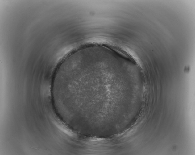 X0000092030399200709131623