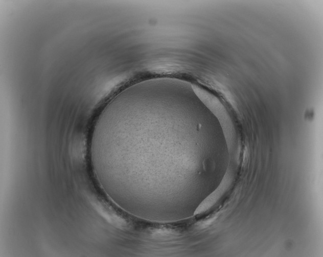 X0000092030400200709131623