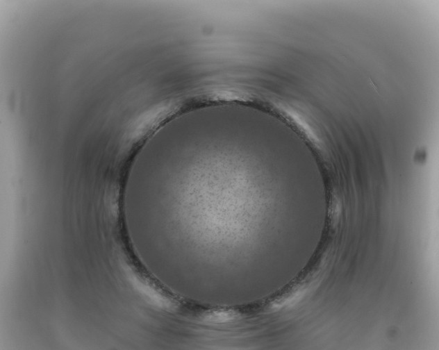 X0000092030402200709131623