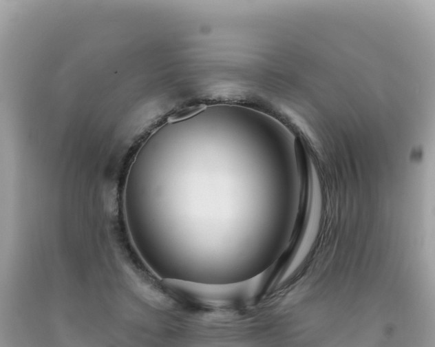 X0000092030403200709131623