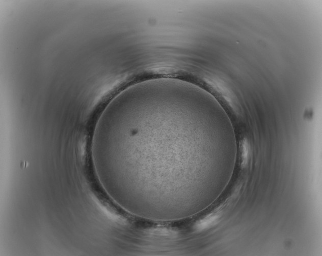 X0000092030404200709131623