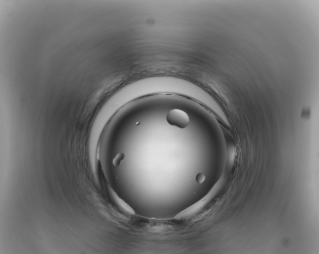 X0000092030407200709131623