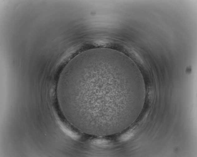 X0000092030408200709131623