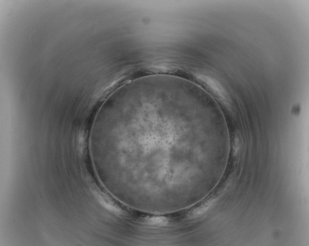 X0000092030409200709131623