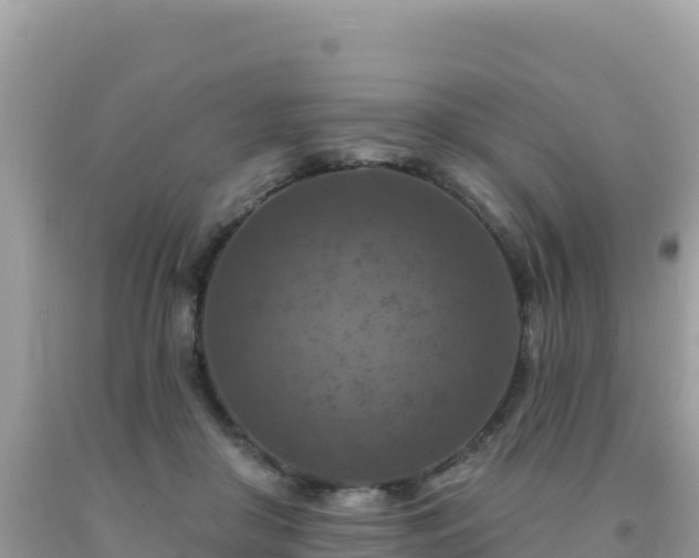 X0000092030410200709131623