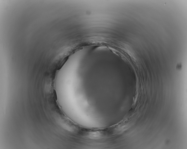 X0000092030411200709131623