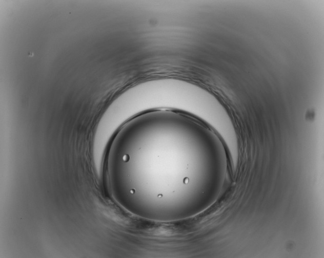 X0000092030412200709131623