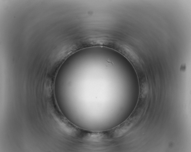 X0000092030414200709131623