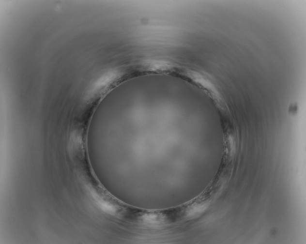 X0000092030415200709131623