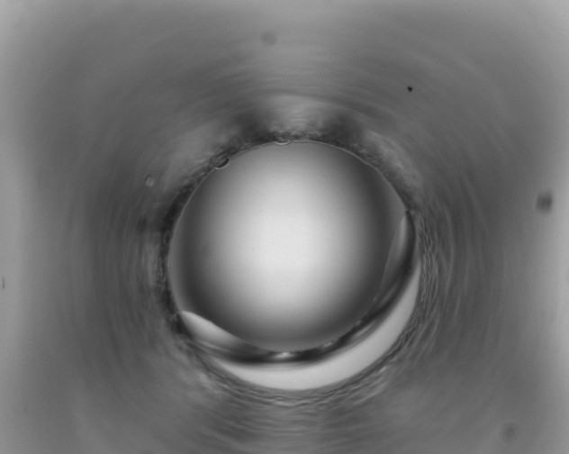 X0000092030416200709131623