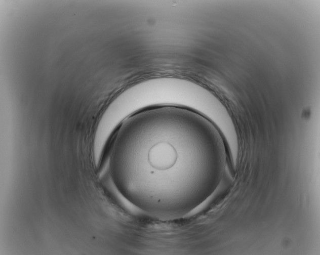 X0000092030417200709131623