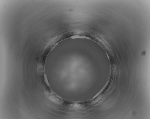 X0000092030419200709131623