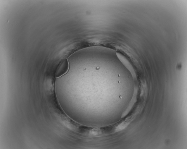 X0000092030420200709131623