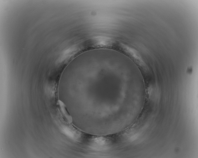 X0000092030423200709131623