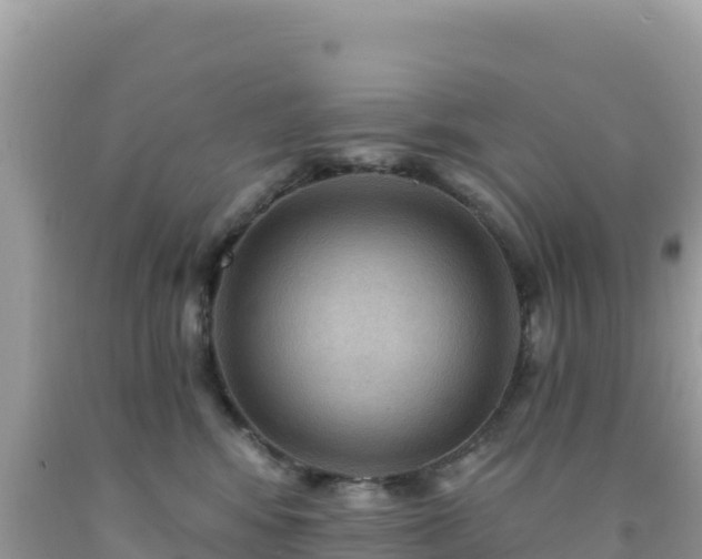 X0000092030424200709131623