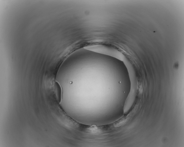 X0000092030425200709131623