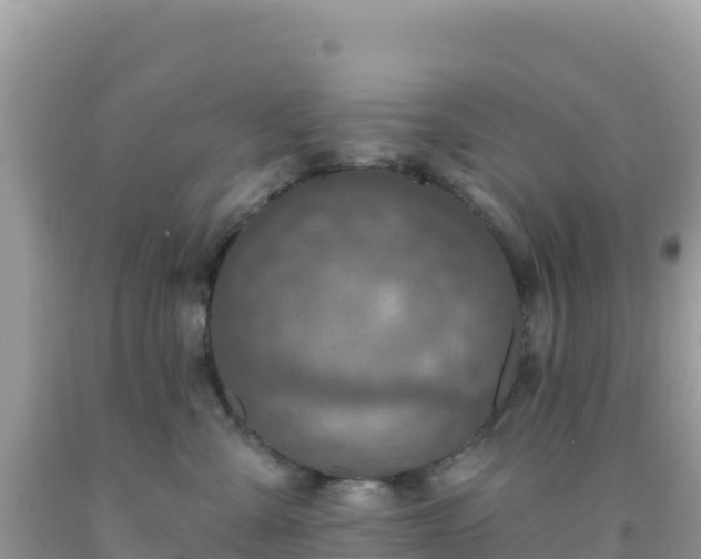 X0000092030427200709131623