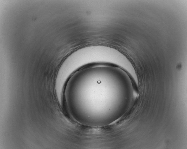 X0000092030428200709131623