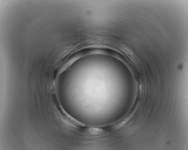 X0000092030429200709131623