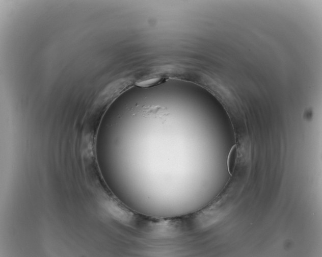 X0000092030430200709131623