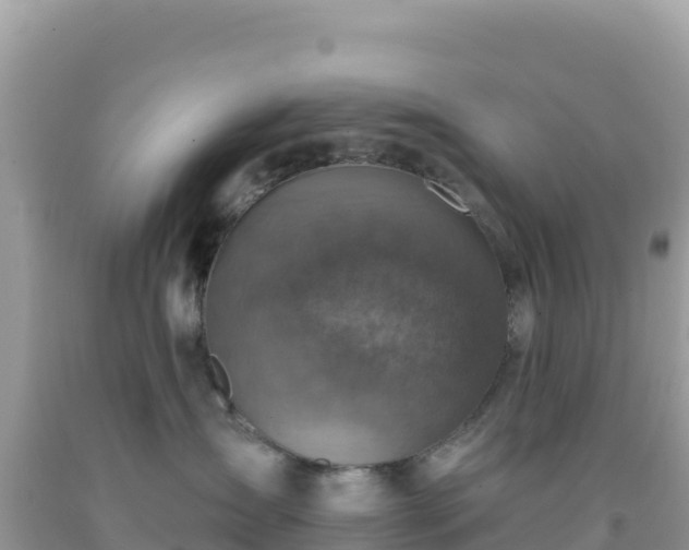 X0000092030431200709131623