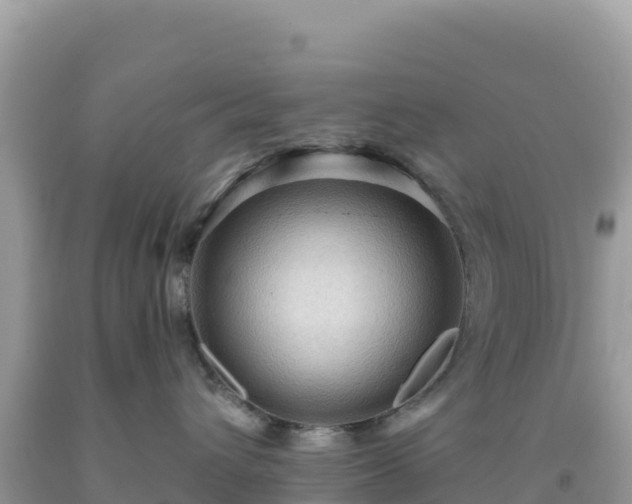 X0000092030432200709131623